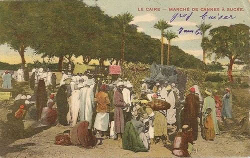 Carte postale egypte caire - postale, le